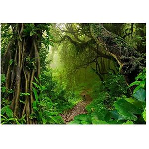 Fotobehang bos 3D-effect bosweg bomen jungle planten regenwoud - incl. lijm - voor woonkamer slaapkamer hal vlies behang vliesbehang behang montageklaar (416x254 cm)
