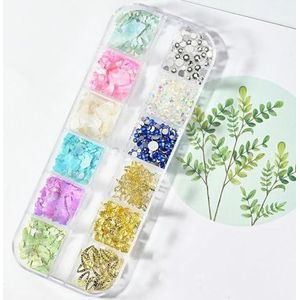 12 roosters/doos onregelmatige abalone natuurlijke schelp nagelvlokken 3D Aurora nagel schelp vlokken DIY 1 * doos manicure natuurlijke abalone schelp-PH035