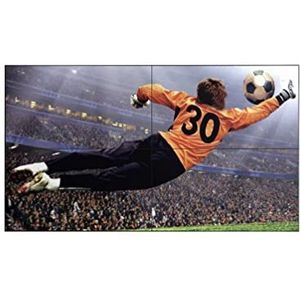 LED-TV - 49 Inch - Full HD - 1920 x 1080 - 500 cd/m² - webOS Smart Signage