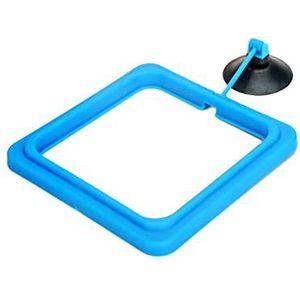 LIZHOUMIL Vis Voeding Ring Aquarium Vis Tank Vis Feeder Voor Tropische Vis Voeding Assistent Enkellaags Blauw Vierkant 10.0x10.0 cm