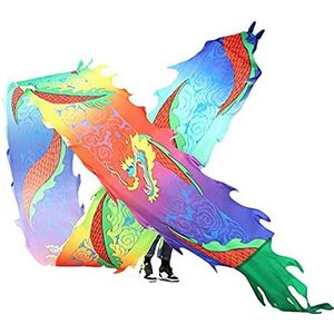Dragon Ribbon Streamer, Dragon Silk Flowy, Oefenlint Streamer Silk Dragon Dance Ribbon Streamer, 3D Kleurrijke Dragon Silk Flowy Spinning & Shaking Poi Outdoor Park (Color : B, Size : 6m/20f)