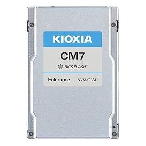 Kioxia Mix Use KCMYXVUG6T40