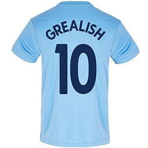 Manchester City Mens T-Shirt Poly Training Kit officiële voetbal cadeau, Hemelsblauw V-hals De Grealish 10, S