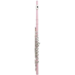 studenten fluit 16 Gesloten Open Gaten C Key Professioneel Lang Dwarsfluit Muziekinstrument Met Sleutel Voor Beginners (Color : Pink)