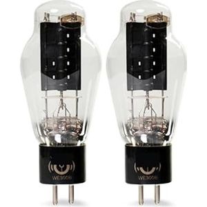 Kit versterker tube WE300B met precisie (2 stuks)