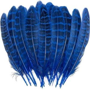 20 stuks vleugels van engel grote veren fazant kip pluimen carnaval hoofdtooi diy bruiloft decor ambachten accessoires en materialen-koningsblauwe veren-20 s