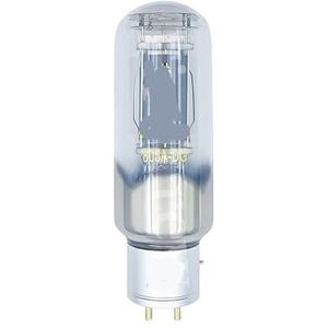 Tube 805A-DG 805ADG upgrade 805A 805 805M 805AT HIFI audio buis versterker DIY precisie matching (1 stuks)