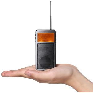 Raddy RF205 Draagbare FM-radio, Pocket Mini Radio met BT 5.3-aansluiting, FM-naar-BT-signaaluitgang, MP3-muziekspeler Luidspreker op batterijen, Type-C-opladen, Wekker, Grijs
