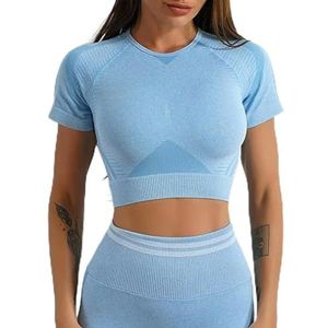 Naadloze Yoga Set Shirt Crop Top BH Beauty Back Yoga Schokbestendig Oefenpak Running Lange Mouw Shirt Training Fitness BH Dames-Hemelsblauw shirts-L