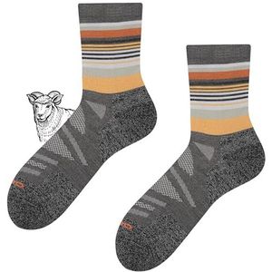 TODO BP Merino Wandelsokken voor heren, dames en kinderen, trekkingsokken van merinowol, ademend, anti-blaren, geproduceerd in de EU, 35-38 EU