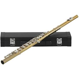Zengxue fluit volwassenen 16 Gat Flute Gouden Zilveren Sleutel Fluit Met Opbergdoos Accessoires Houtwind Muziekinstrument