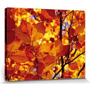 1art1 Bomen Poster Kunstdruk Op Canvas Golden Autumn Leaves Muurschildering Print XXL Op Brancard | Afbeelding Affiche 50x40 cm