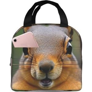 SUUNNY Eekhoorn grappige dierlijke print geïsoleerde lunchtas draagtas,Warmte Lunchbox Koelere thermische tas voor werk houden