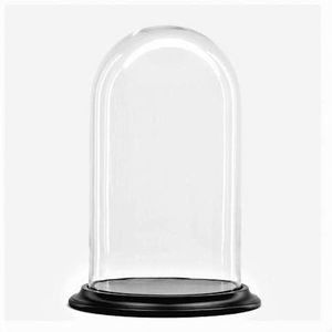 Glazen stolp met zwart houten voet D 26 cm x H 45 cm