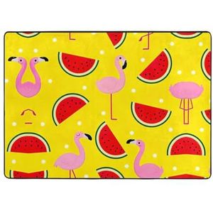 YJxoZH Roze Flamingo En Watermeloen Print Thuis Tapijten, Voor Woonkamer Keuken Antislip Vloer Tapijt Zachte Slaapkamer Tapijten-148 x 203 cm