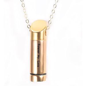 SASHUN XLIAN326 Aangepaste Roestvrij Staal Crematie Sieraden Voor As Urn Ketting Hanger Voor Mannen Mannelijke Hip Hop Geschenken Memorial Ash Sieraden Huisdier Memorial (Metalen kleur: Goud graveren)