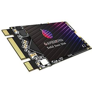 GamerKing SSD New (256GB, M.2 2242)