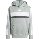 adidas Unisex niños SEASONAL ESSENTIALS TIBERIO 3 STRIPES FLEECE HOODIE, Wonder Sage/white/dark grey heather, 15-16 Years