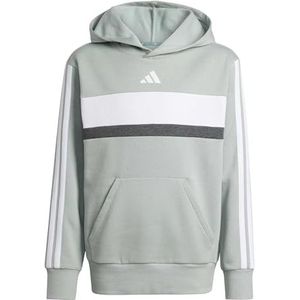 adidas Unisex niños SEASONAL ESSENTIALS TIBERIO 3 STRIPES FLEECE HOODIE, Wonder Sage/white/dark grey heather, 15-16 Years
