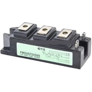 MMKBLRDI 1st FMG2G50US60 FMG2G75US60 FMG2G100US60 FMG2G150US60E IGBT Module (FMG2G100US60)