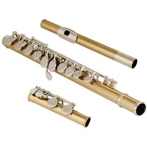 Cupronickel 16 gesloten gaten C sleutel gouden buislichaam zilveren knop concertfluit met doos Dwarsfluit voor Beginner