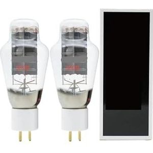 300B vacuümbuis vervangt 4300B 7300B WE300B 300BT 300BN HIFI audio buis versterker ondersteunt vier kanalen (2 stuks Matched Pair)