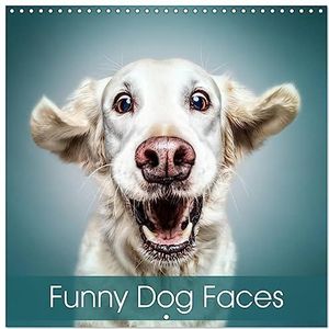 Grappige hondengezichten (wandkalender 2024 30,5 cm × 30,5 cm), CALVENDO 12 maanden wandkalender