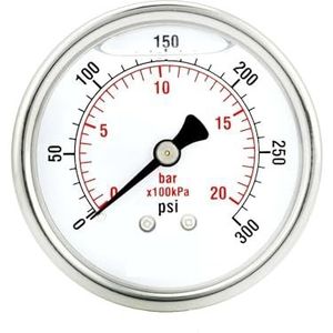 kaliber 2"", roestvrijstalen behuizing, vloeistofvulling, montage aan de achterkant, 300 psi