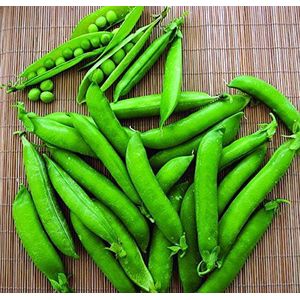 Green Arrow Pea Seeds - 14 grammi