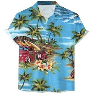 Heren Hawaiiaanse Overhemd Met Korte Mouwen Zomer Hawaiiaanse Overhemden Casual Kleding Zomer Strandfeest Hawaiiaanse Overhemden heren t-shirt(Multi-colored B,XL)