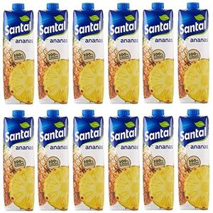 12 x Parmalat Santal I Classici Succo di Frutta ananas vruchtensap 100% natuurlijke oorsprong verfrissende verfrissende drank tetrapack 1000 ml
