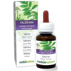 Valeriaan (Valeriana officinalis) wortels Alcoholvrije moedertinctuur Naturalma - Vloeibaar extract druppels 60 ml - Voedingssupplement - Veganistisch