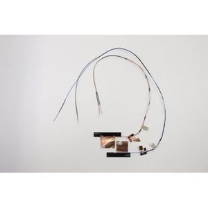 Lenovo - Intel Antenne - Onderdelen voor Notebooks - Netwerk