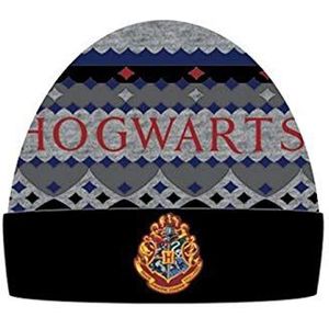 Hogwarts Harry Potter Winter 2018 Uniseks muts