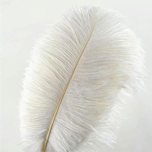 Groothandel elegante witte struisvogelveren voor ambachten 15-75cm bruiloft feestartikelen carnaval danser decoratie plumas verenkleed-15-20CM kleine paal-10 stuks
