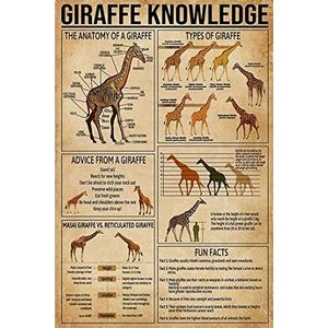 Giraffe Knowledge Wildlife Grote giraffenliefhebber 500 stukjes puzzel milieuvriendelijke leuke puzzel plezier puzzel legspel kinderen decoratie puzzel