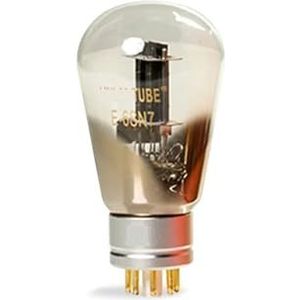 E-6SN7 Tube Audio versterker (1 PCS)