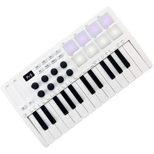 Controller Met 25 Toetsen Toetsenbord Piano Mini Draagbaar USB-toetsenbord Met RGB-achtergrondverlichting Pads Toetsenbordinstrumenten Draagbaar Keyboard Piano (Color : 01)