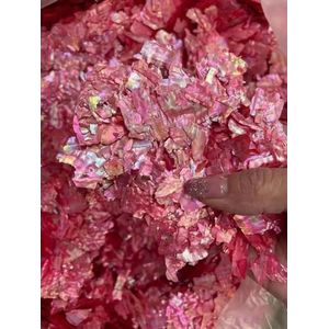 5g Natuurlijke Abalone Schelp Ontwerp Nail Art Charms Onregelmatige Slice Fragment Nail Decoratie Holografische Schelpdieren Manicure Decals-03