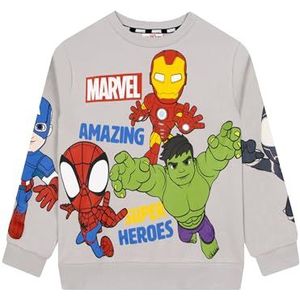 Marvel Spidey And His Amazing Friends Jongens Sweater, Superhelden Jongenskleding, Spidey Trui voor Kinderen Grijs 98