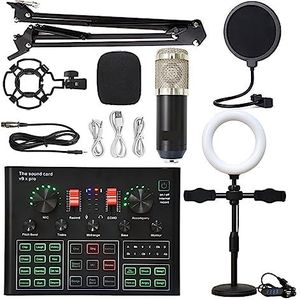 Geluidskaartset, Professionele condensatormicrofoon draadloze karaoke-geluidskaart met vrijdragende beugel Invullicht(Silver suit)