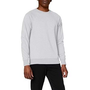 Fruit of the Loom Mannen Raglan Lichtgewicht Trui - grijs - L