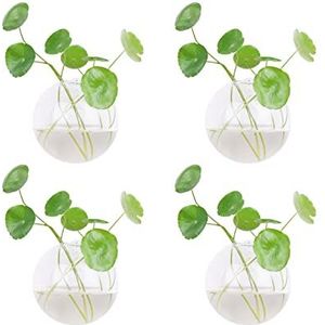 Dubee 4 stuks glazen muur hangende plantenterraria, hangende wandvazen voor planten binnen, glazen plantencontainers voor luchtplanten, vetplanten en kaarsendisplay.