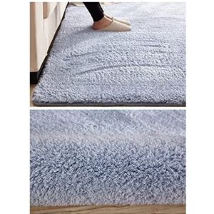 Tapijt Shaggy Plush Area Rug White Fluffy Rug Carpets for Living Room Decor Faux Fur Anti Skid zacht tapijt for de slaapkamer Grijs Tapijt Woonkamer (Color : 9, Size : 200x250cm)