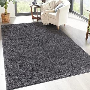 carpet city Shaggy hoogpolig tapijt, 200 x 200 cm, vierkant, antraciet, langpolig woonkamertapijt, effen modern, pluizig zacht tapijt, slaapkamer decoratie