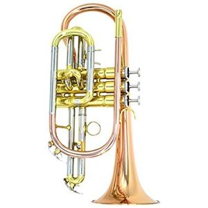 Trompetten B-Flat Phosphor Bronze Brass Cornet Instrument Beginner Performance Test Student Trompetten (Color : Phosphor bronze)