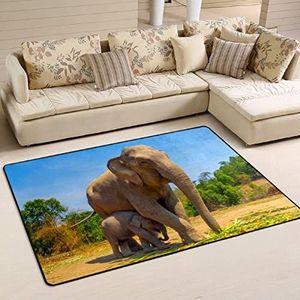 Gebied tapijten 100 x 150 cm, baby olifant verstopt in moeder kantoormatten wasbare deurmat waterabsorberende welkomstmat, voor slaapkamer, picknick