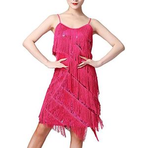 PRELGOSP Latijnse dansjurk voor dames, danskostuums, mouwloze kwastjesjurk met pailletten, 1920s Salsa Samba Rumba Cha Cha Tango-jurk, cocktailparty balzaal oefenjurk, roze, XL