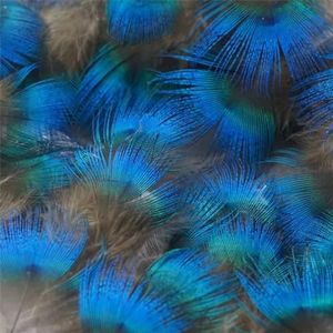 5-10 stuks groothandel natuurlijke pauw fazantenveren voor ambachten sieraden maken accessoire bruiloft decoratie pluimen-blauw-4-7cm 10 stuks