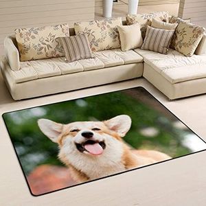 Gebied tapijten 100 x 150 cm, schattige Corgi mooie hond kantoor matten grote flanellen mat tapijt pluche woonkamer tapijt, voor keuken, achtertuin